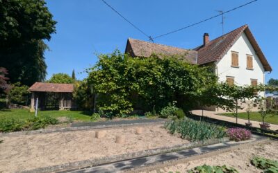 Nouveauté – 10 min d’ERSTEIN dans un cadre verdoyant