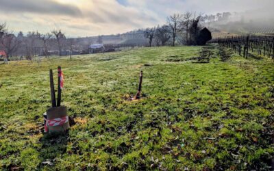 TERRAIN – Situation Exceptionnelle –