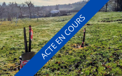 TERRAIN – Situation Exceptionnelle –