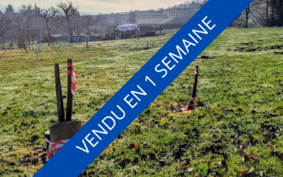 TERRAIN – Situation Exceptionnelle – Exclusivité