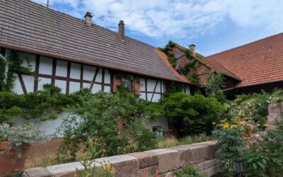 NOUVEAU !  –  KIRRWILLER  Maison Alsacienne